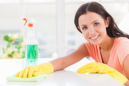 Professional sofa cleaning for a modern Elephant and Castle apartment living room