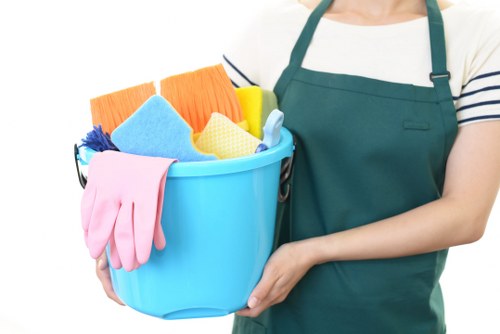 Professional move-in cleaning for a flat in Elephant and Castle