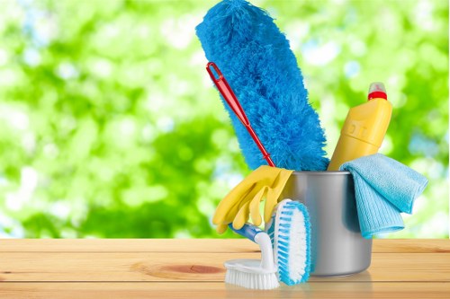 Regular cleaning for a modern Elephant and Castle apartment