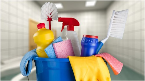 Local domestic cleaning support for a flat in Elephant and Castle