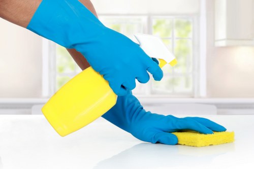 Window cleaning for apartment blocks and managed buildings in Elephant and Castle