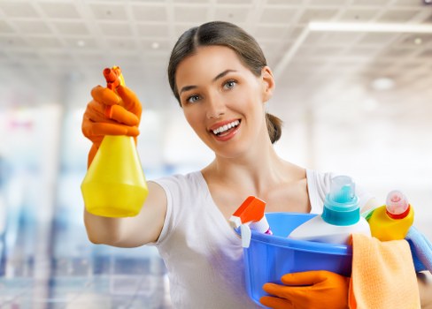 Detailed bathroom and living area cleaning for a move out in Elephant and Castle