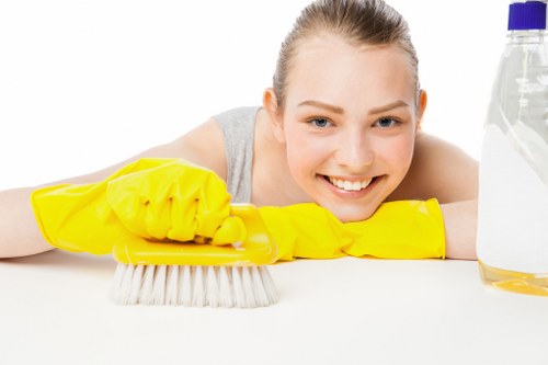 Professional post-construction dust removal in a local London property