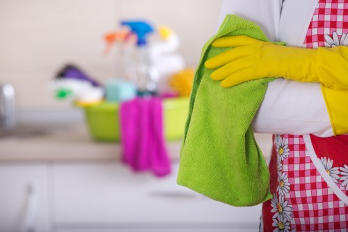 Odour removal service for carpets, rugs, and sofas in Elephant and Castle