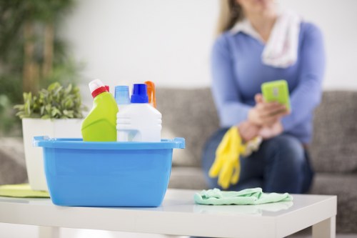 Local carpet cleaning team assessing carpet condition in Elephant and Castle