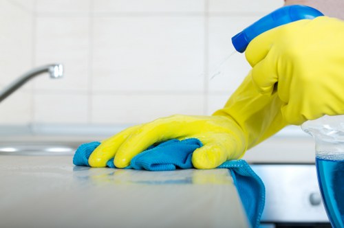 Kitchen deep cleaning with detailed attention to surfaces and appliances