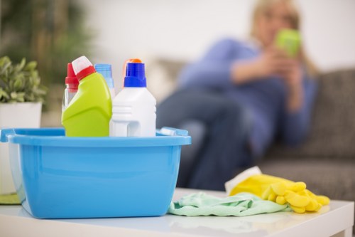 Deep cleaning service for apartments and houses in Elephant and Castle