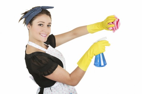 Professional rug cleaning for busy south London properties