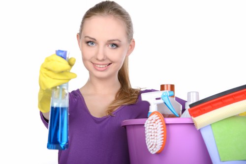 Cleaning brick, cladding, and mixed facade surfaces locally