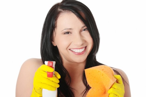 Local cleaners working in a modern Elephant and Castle apartment
