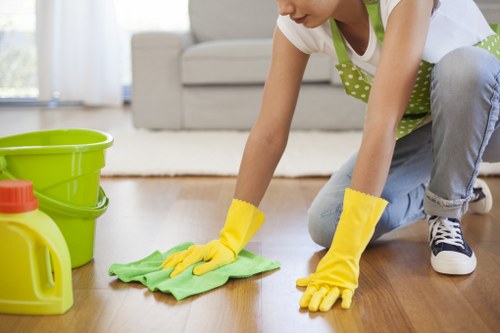 Kitchen deep clean during a move-out service in Elephant and Castle