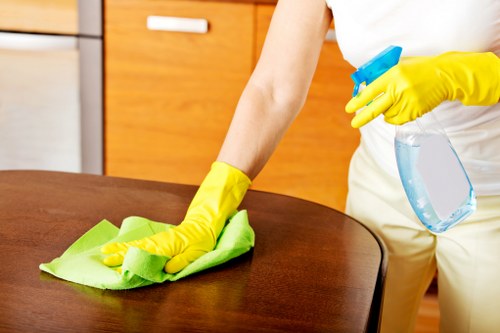 Weekly cleaning service for a flat near Elephant and Castle station